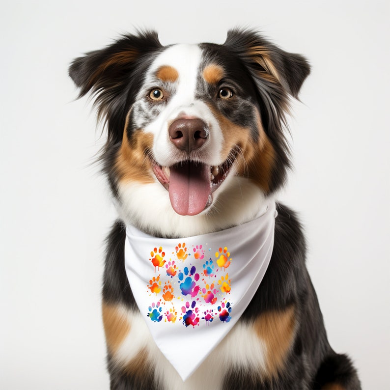 May include: A black and white Australian Shepherd dog wearing a white bandana with colorful paw prints. The bandana has a white background with colorful paw prints in shades of blue, green, orange, yellow, and pink.