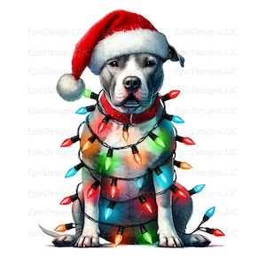 Pit Bull na Boże Narodzenie PNG, Projekt Sublimacji, Clipart Pit Bull, Mama Pit Bulla, Pies na Boże Narodzenie PNG, Czapka Świętego Mikołaja dla Psa, Pobieranie Cyfrowe, DTF PNG