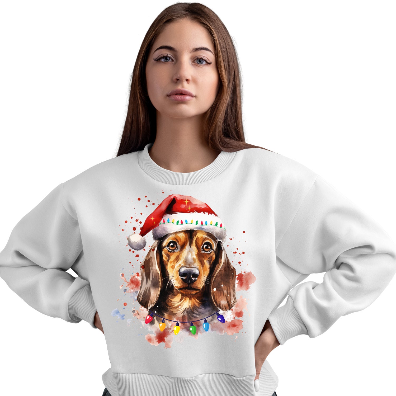 Christmas Dachshund Dog PNG, Wiener Dog Christmas Clipart PNG ...