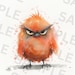 5 Grumpy Birds Clipart, Cute Birds Digital Clipart, Printable ...