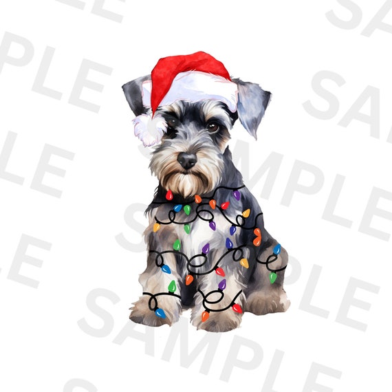 Christmas Miniature Schnauzer PNG, PNG Sublimation Design, Christmas Animal PNG, Merry Christmas Png, Digital Download, Happy Christmas Png
