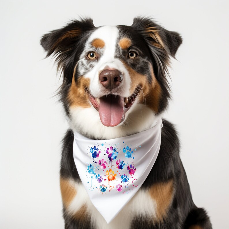 May include: A tri-colored Australian Shepherd dog wearing a white bandana with a colorful paw print design. The dog is looking directly at the camera with its tongue sticking out.