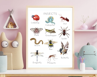 Cartel de insectos, cartel educativo, cartel Montessori, imprimibles de educación en el hogar, DESCARGA DIGITAL