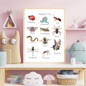 Cartel de insectos, cartel educativo, cartel Montessori, imprimibles de educación en el hogar, DESCARGA DIGITAL
