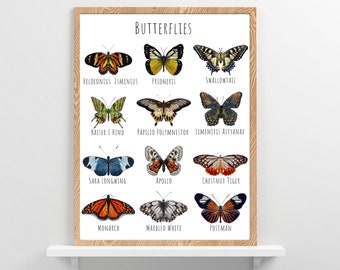 Butterfly Poster, Educational Wall Art, Nature Wall Art, Butterfly Wall Art, Butterfly Prints, DIGITAL DOWNLOAD