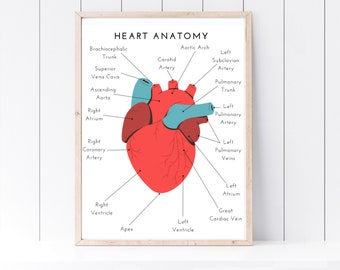 Heart Anatomy Poster, Fill in the Blank, Educational Wall Art, Educational Poster, Homeschool Wall Art, Classroom Wall Art, DIGITAL DOWNLOAD