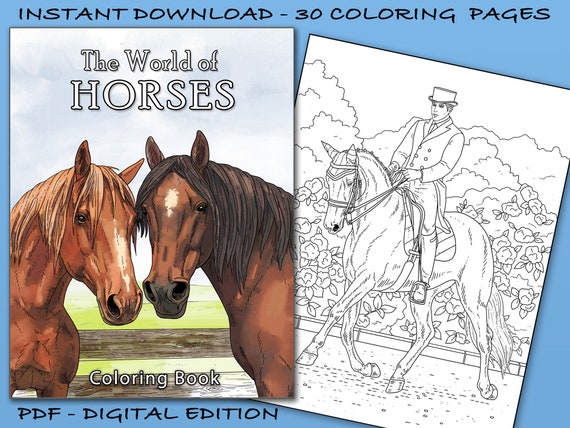 The World of Horses Coloring Book - 30 Beautiful equine illustrations in various settings. (Printable PDF / Instant Download)