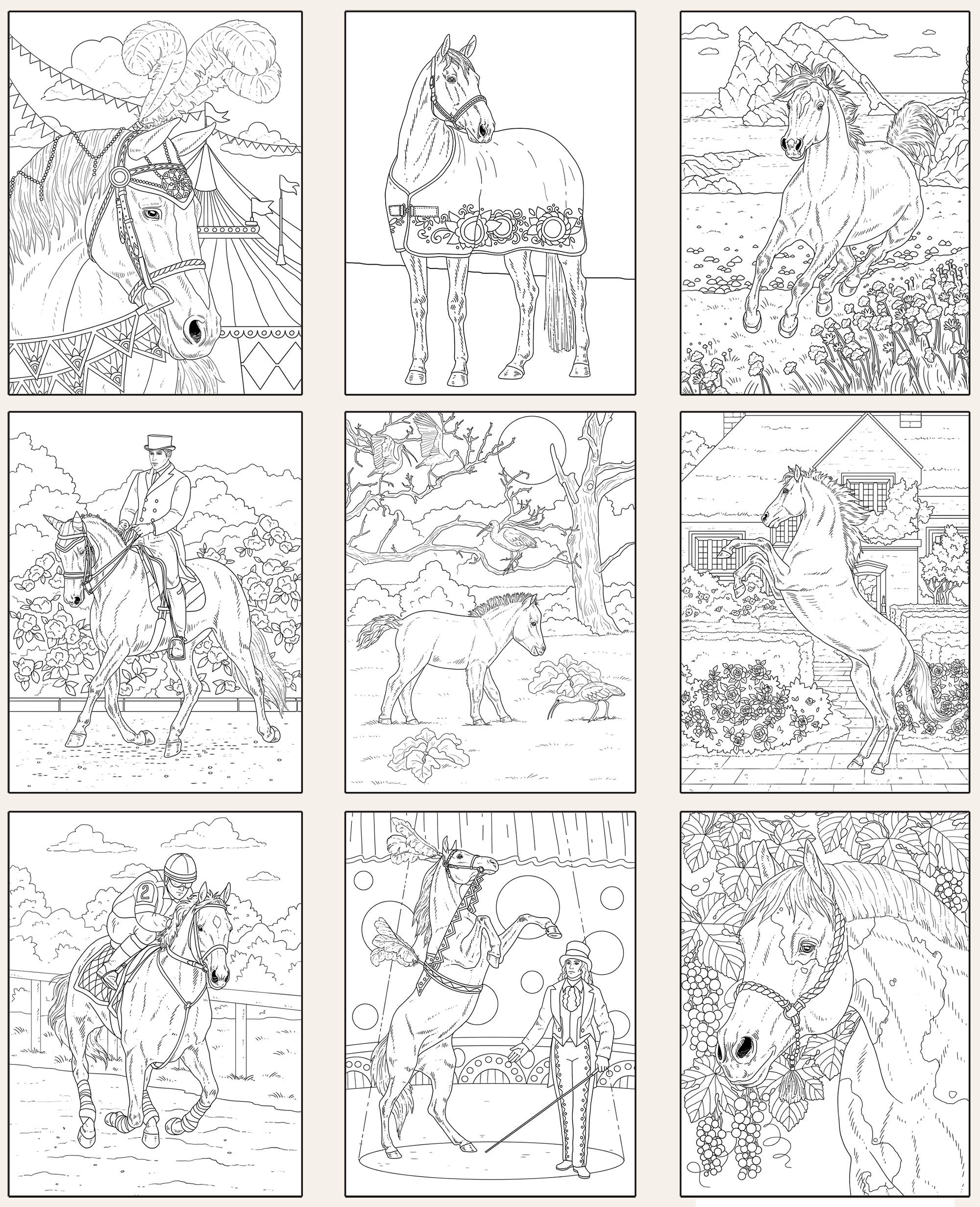 The World of Horses Coloring Book 30 Beautiful Equine Illustrations in ...