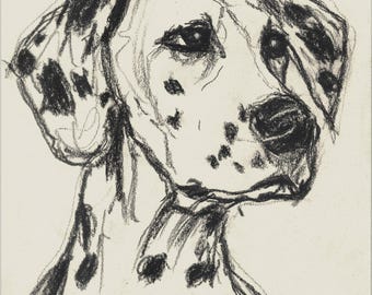 Dalmatian Portrait (Original Hand-Drawn Charcoal on Paper)
