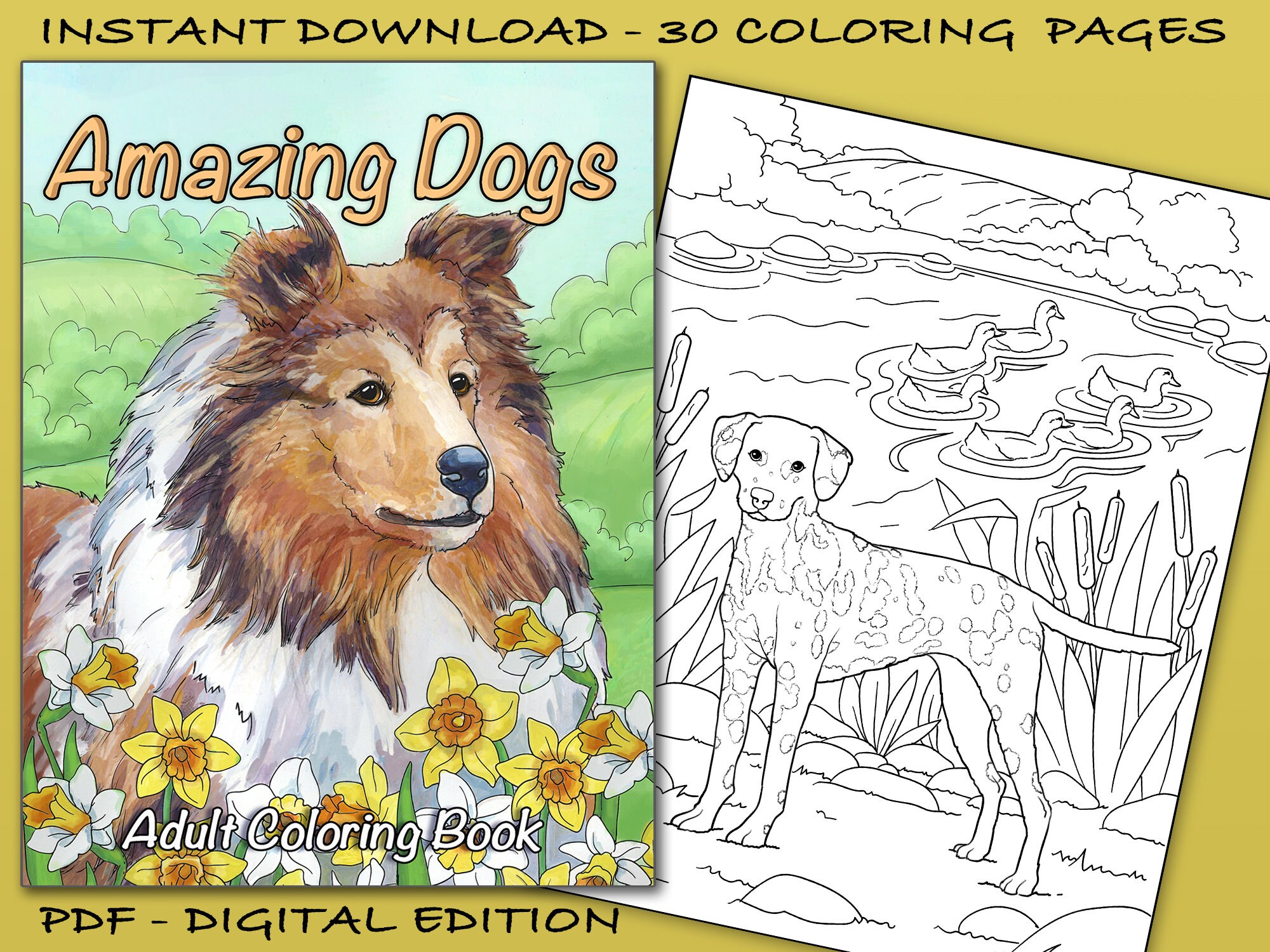 Color by Numbers Adult Coloring Book of Small Breed Dogs: An Easy Color by   9781986849845