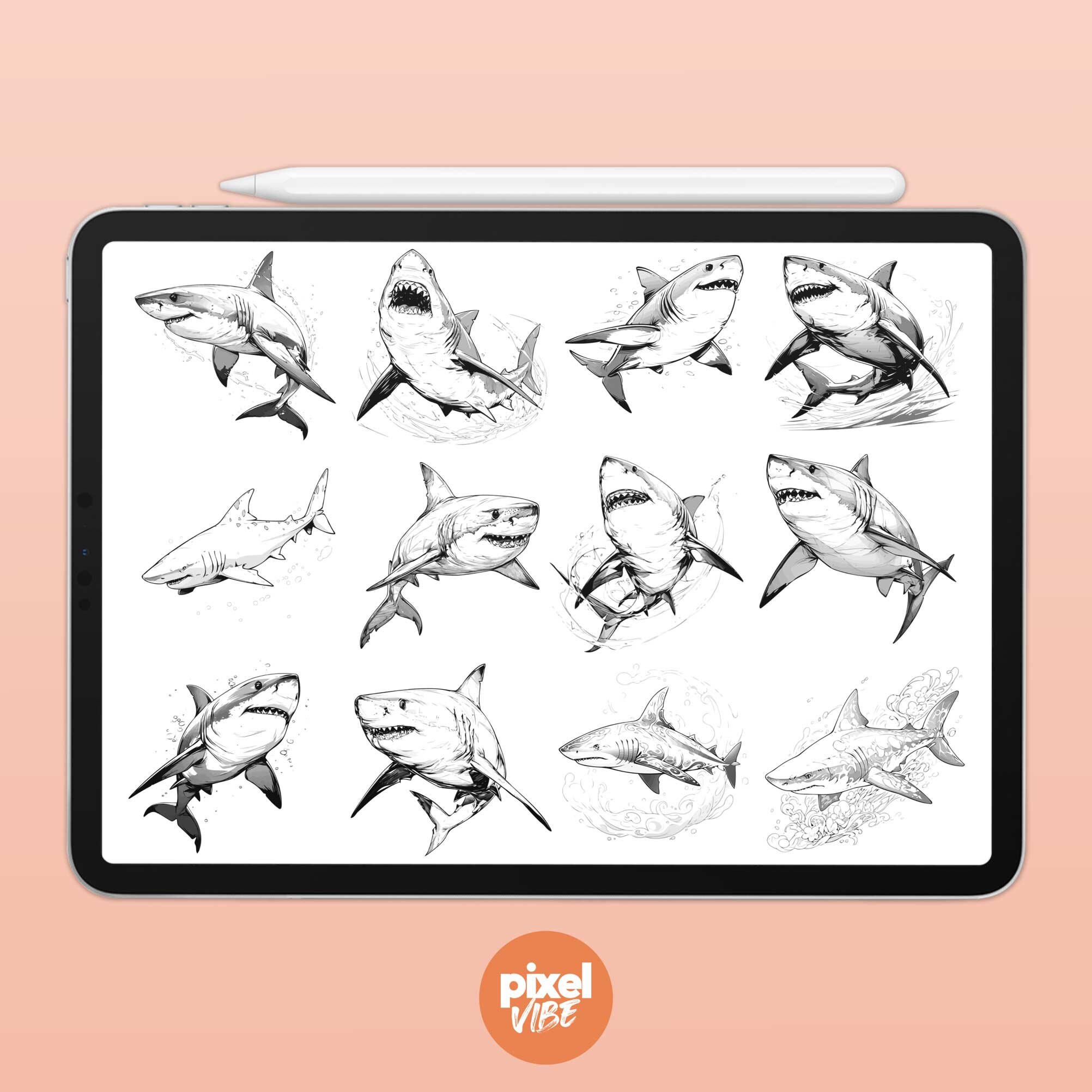 Shark Stamp Brushes for Procreate - Illustration Brush Pack (digital ...