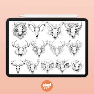 May include: A digital illustration of 16 different skull designs with floral accents. The skulls are drawn in black and white and feature various animal skulls, including deer, ram, and goat skulls.