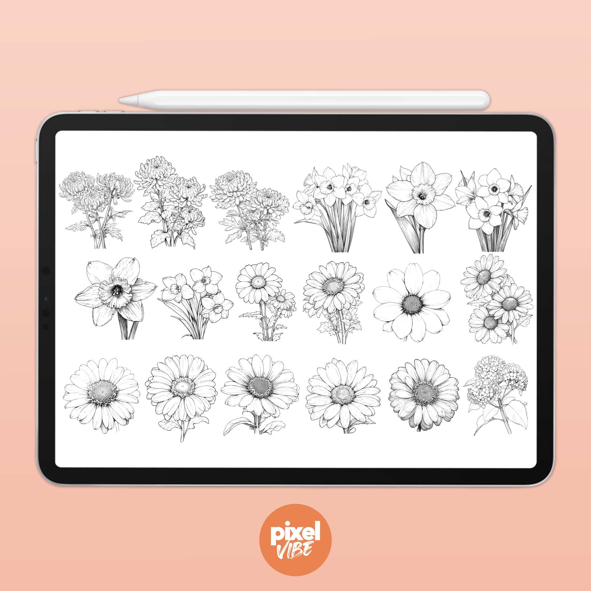 90 Floral Stamp Brushes for Procreate Flower Illustration Art Set - Etsy
