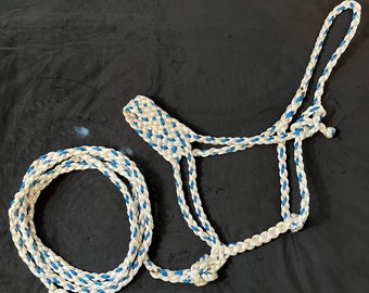 Mule Tape Style Horse Halter and Lead Rope Set - Hand Braided