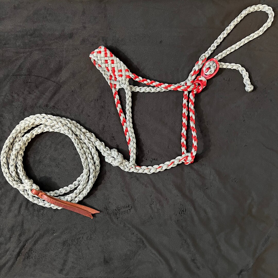 Mule Tape Style Horse Halter and Lead Rope Set Hand Braided Etsy