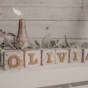 Personalized Baby Blocks, Baby Name Blocks, Blush Baby Blocks, Neutral Baby Blocks, The Olivia Collection, Per Letter (in Gold)