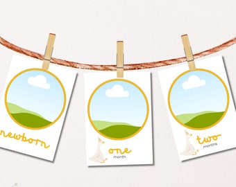 Marigold Silly Goose Monthly Banner for First Birthday Party, One Silly Goose Birthday Party Decor, Editable 5x7 Monthly Banner