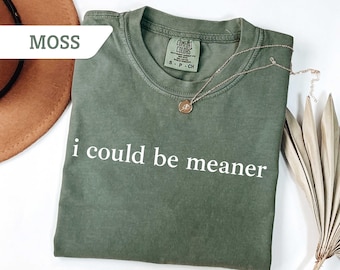 Comfort Colors®  I Could Be Meaner Shirt Spicy Attitude Shirt Perfect Gift for Nice People Sarcastic Shirt Funny Humor Shirt Funny Quote Tee