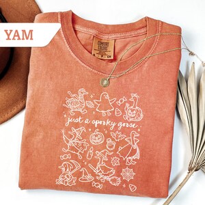 May include: A terracotta-colored t-shirt with a white graphic that reads "just a spooky goose." The design features whimsical illustrations of geese, ghosts, pumpkins, and witch hats. A gold necklace with a pendant is draped on the shirt.