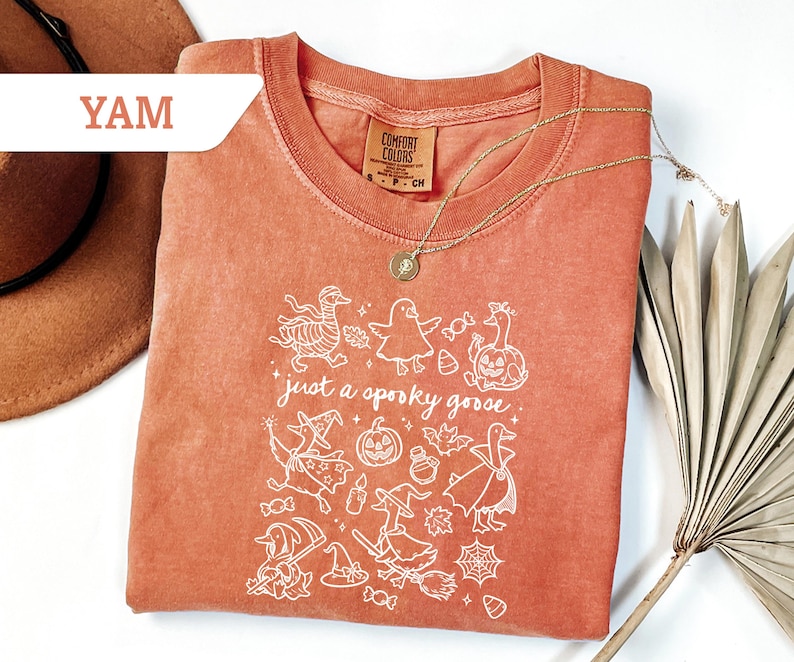 May include: A terracotta-colored t-shirt with a white graphic that reads "just a spooky goose." The design features whimsical illustrations of geese, ghosts, pumpkins, and witch hats. A gold necklace with a pendant is draped on the shirt.
