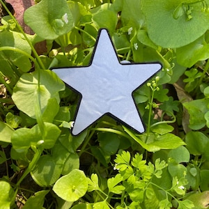 May include: A reflective star-shaped patch with a black border, resting amidst vibrant green foliage. The star has a light blue, almost silver, appearance. The image is taken outdoors, with the star placed among various green plants.
