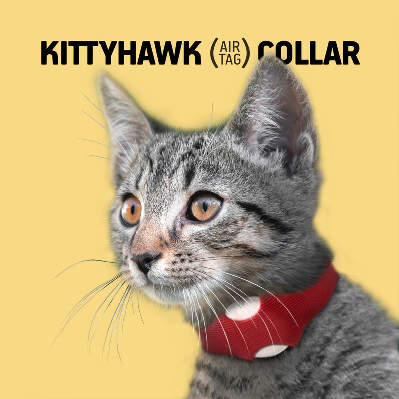 May include: A gray tabby cat with a red collar and a white round device attached to the collar. The collar has the text "KITTYHAWK (AIR TAG) COLLAR" on it.
