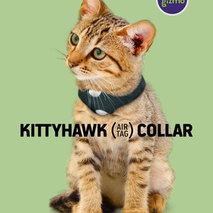 May include: A brown tabby cat wearing a black collar with a white circle in the center. The collar has the text "Air Tag" on it. The cat is sitting on a green background. The text "Kittyhawk (Air Tag) Collar" is below the cat. The text "mister gizmo" is in a blue circle in the upper right corner of the image.