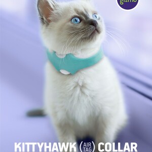 May include: A white kitten wearing a light blue Kittyhawk Air Tag Collar. The collar has a white button and a textured surface. The kitten is looking up and has blue eyes.