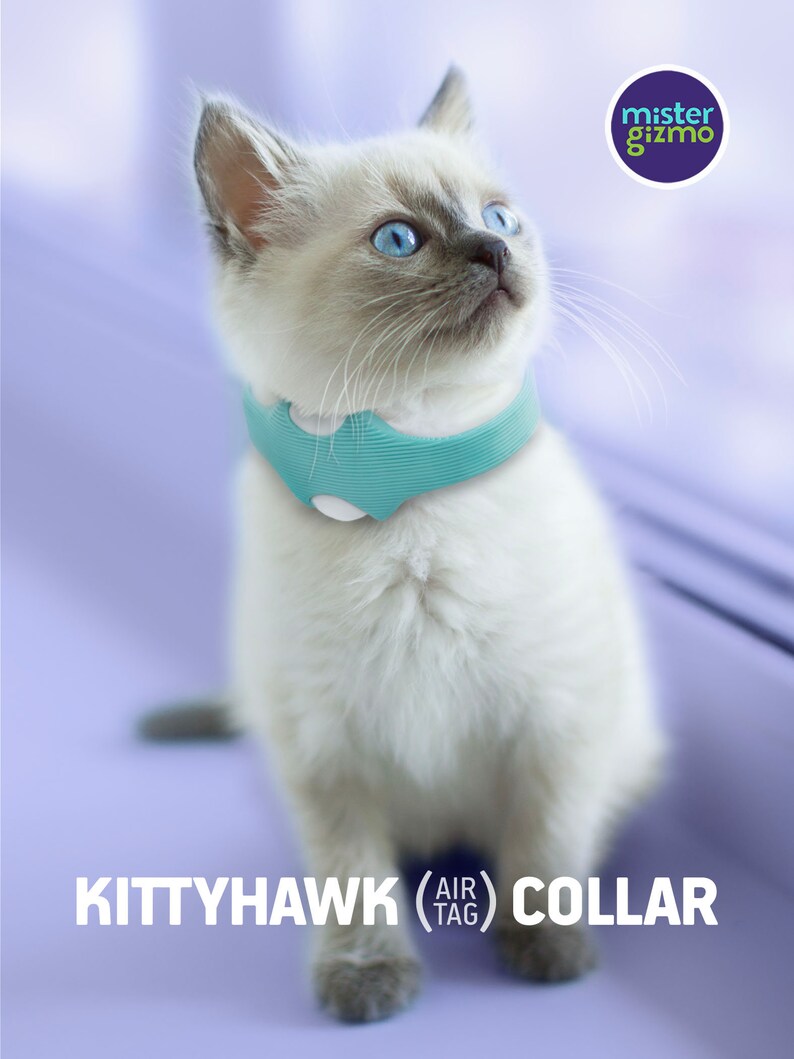 May include: A white kitten wearing a light blue Kittyhawk Air Tag Collar. The collar has a white button and a textured surface. The kitten is looking up and has blue eyes.