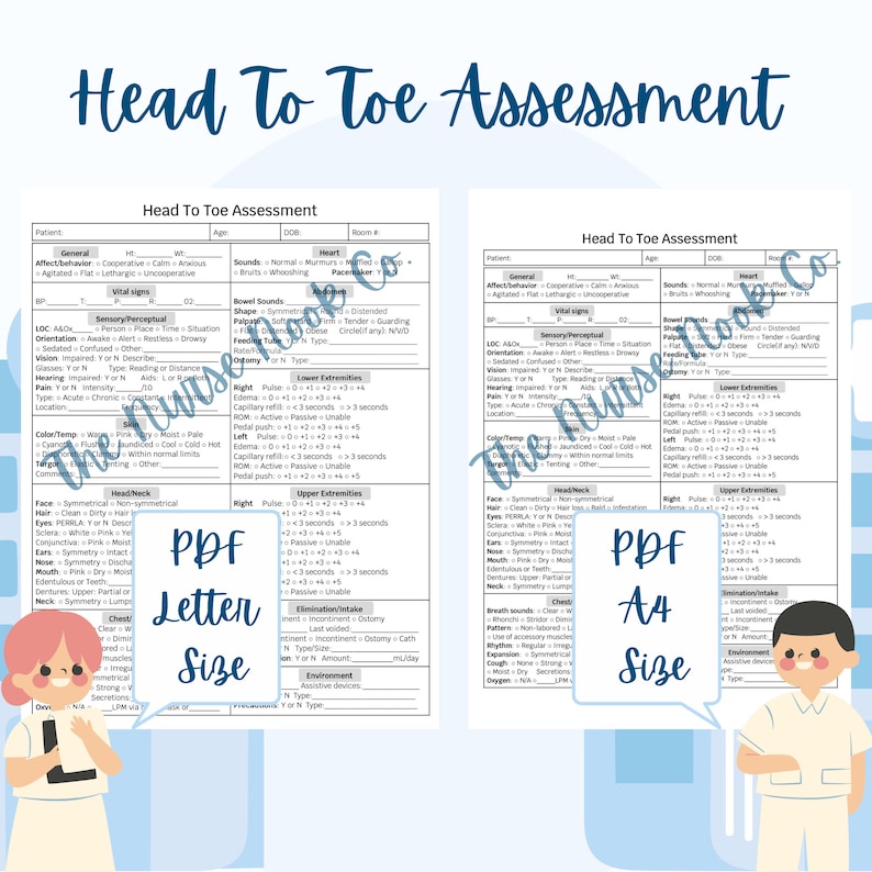 Head to Toe Assessment Nursing Template Patient Assessment Sheet Nurse ...