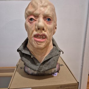 Higgins hero display bust