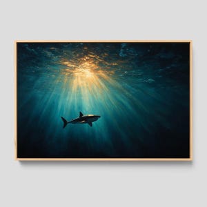 Moody Shark Canvas Print: Ocean Wall Art, Beach House Decor