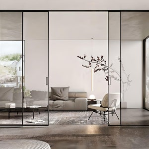 Modern Sleek Minimalist Glass Sliding Door