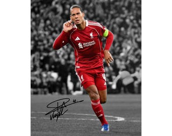 Virgil van Dijk Signed Photo Print Autograph Wall Art