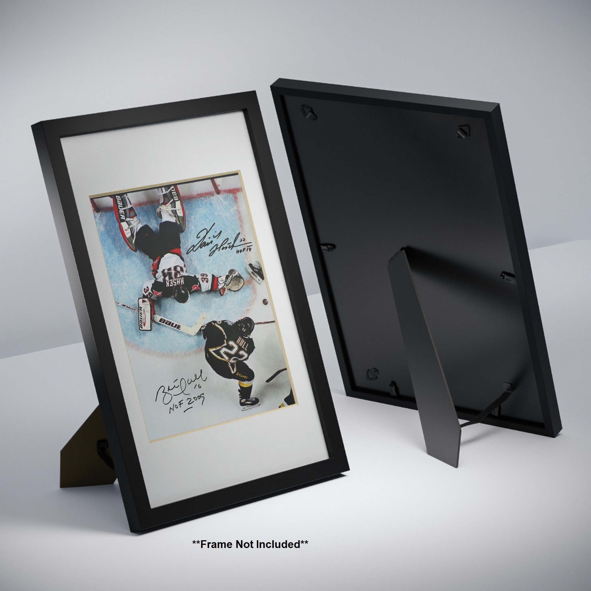 ドミニク・ハシェック ブレット・ハル セイバーズ スターズ 直筆サイン