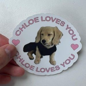 Sticker chiot teckel mignon