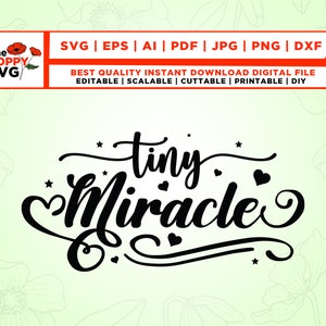 Tiny Miracle svg, Tiny Miracle Onesie, Rainbow Baby Onesie, Body de anuncio de embarazo svg, kid svg, baby boy svg, baby girl svg, vinilo