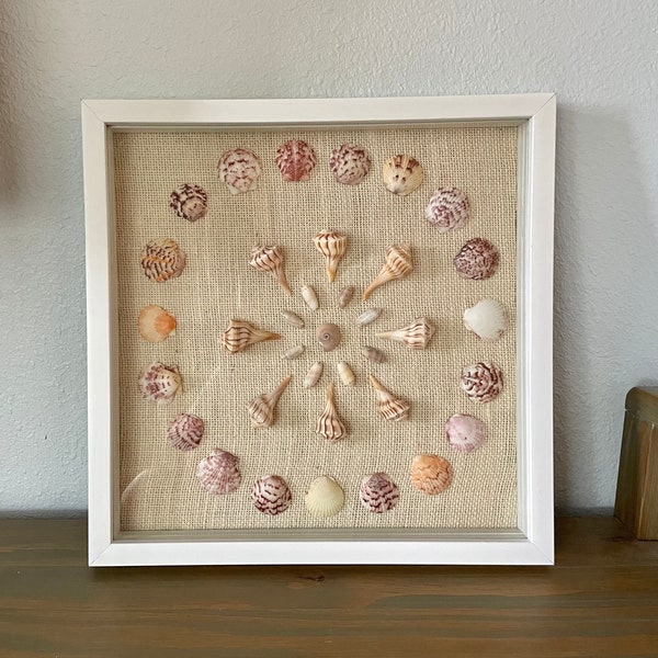 Seashell Shadow Box Etsy