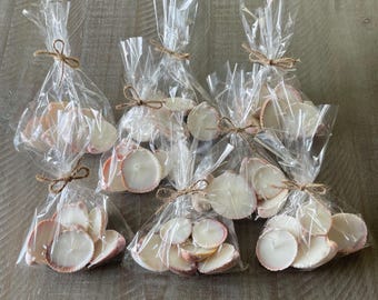 Handmade Organic Seashell Candles