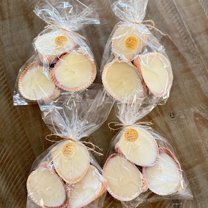 Handmade Organic Seashell Candles