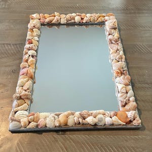 Handmade Sanibel Seashell Large Mirror