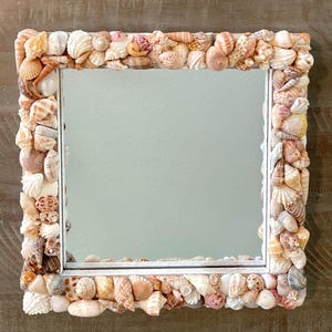 Handmade Sanibel Seashell Mirror