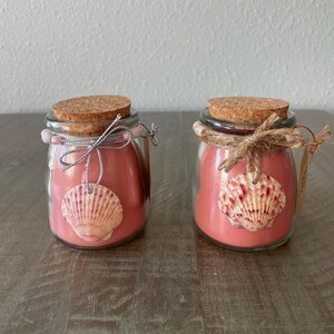 Sanibel Seashell Organic Soy Candle Winterberry