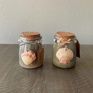 Sanibel Seashell Organic Soy Candle Lemon Blueberry
