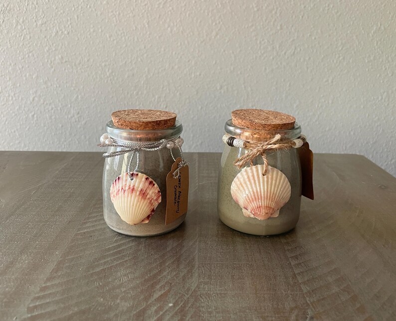Sanibel Seashell Organic Soy Candle Lemon Blueberry