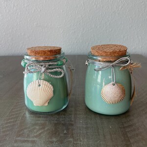 Sanibel Seashell Organic Soy Candle Frasier Fir