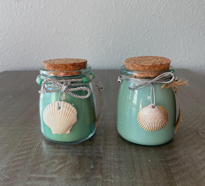 Sanibel Seashell Organic Soy Candle Frasier Fir