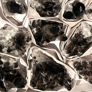 May include: Multiple clusters of smoky quartz crystals, each wrapped in white paper. The crystals are a dark brown color and have a variety of shapes and sizes.