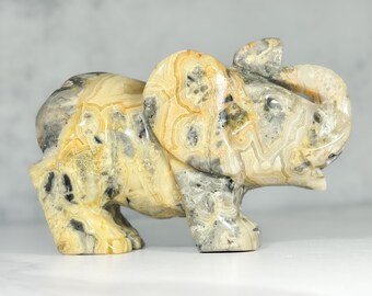 Meksykański Słoń z Agatu Crazy Lace: 5-calowa kryształowa figurka słonia, ręcznie rzeźbiona (607 g)