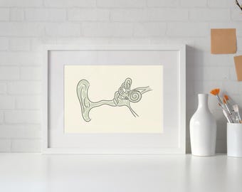 Anatomieprint van het gehoorsysteem, medische kunst (digitale download)
